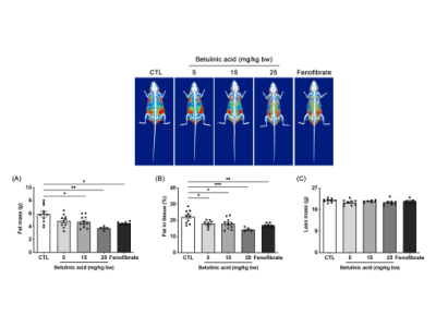 Betulinic acid suppresses de novo lipogenesis by inhibiting insulin and IGF1 signaling as upstream effectors of the nutrient-sensing mTOR pathway Image